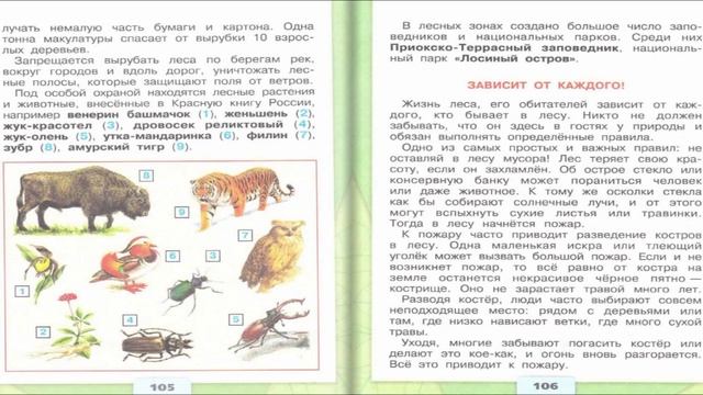 Лес и человек. Окружающий мир. 4 класс, 1 часть. Учебник А. Плешаков стр. 103-109 смотреть онлайн