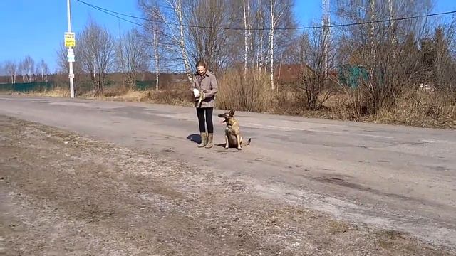 Фрай Винд Одри - апортировка смотреть онлайн