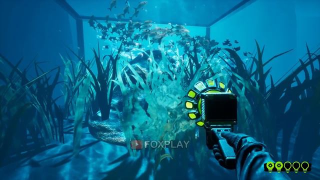 ZOONOMALY - ALL Secrets & Easter Eggs (Showcase)