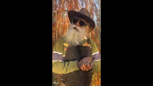 что значит Жизнь? / Садхгуру смотреть онлайн