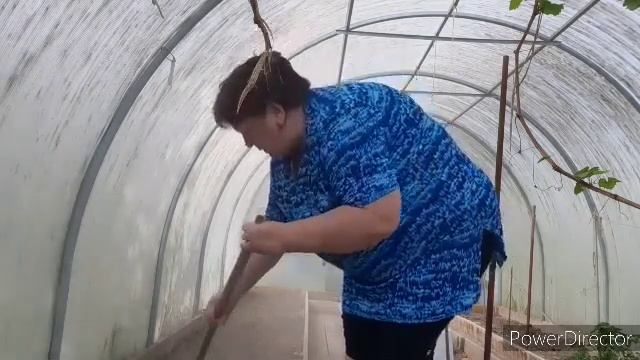 КУПИЛИ ДОМ НА ЮГЕ/СЕЮ ЗЕЛЕНЬ И РЕДИС В ТЕПЛИЦУ/РОЗЫ РАДУЮТ смотреть онлайн