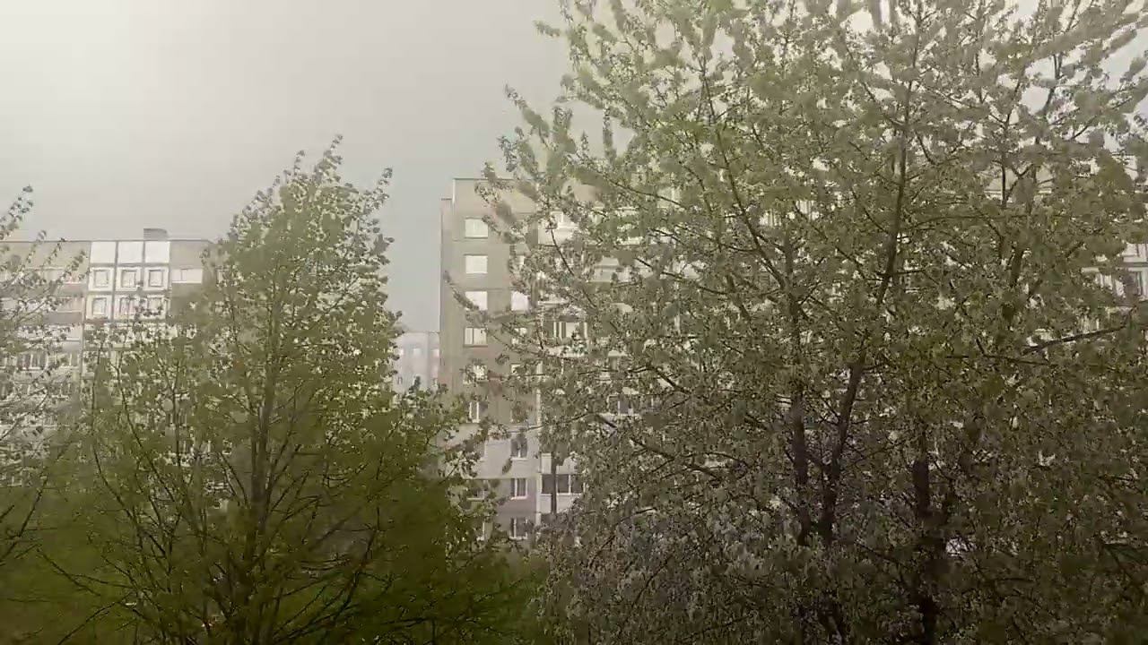 это вот ветер, это вот дождь смотреть онлайн