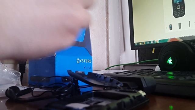 Oysters Kursk: обзор