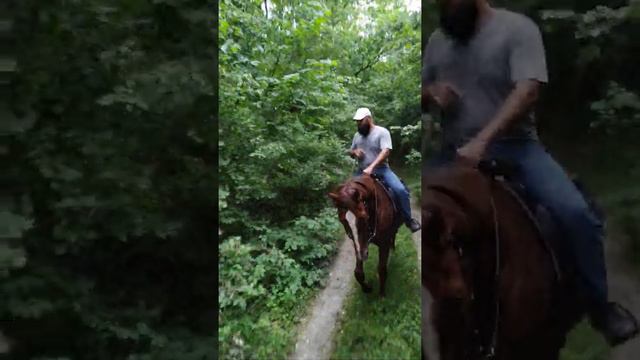 Всадники Алхан-юрта, поход в Черноречье(2) смотреть онлайн