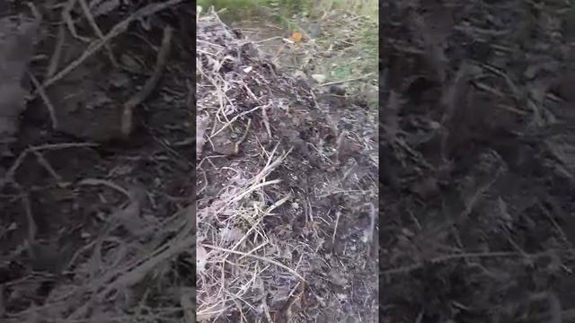 Turba casera смотреть онлайн