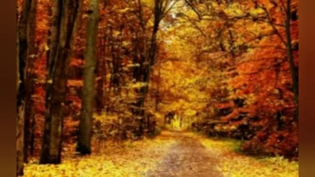 Стихотворение 