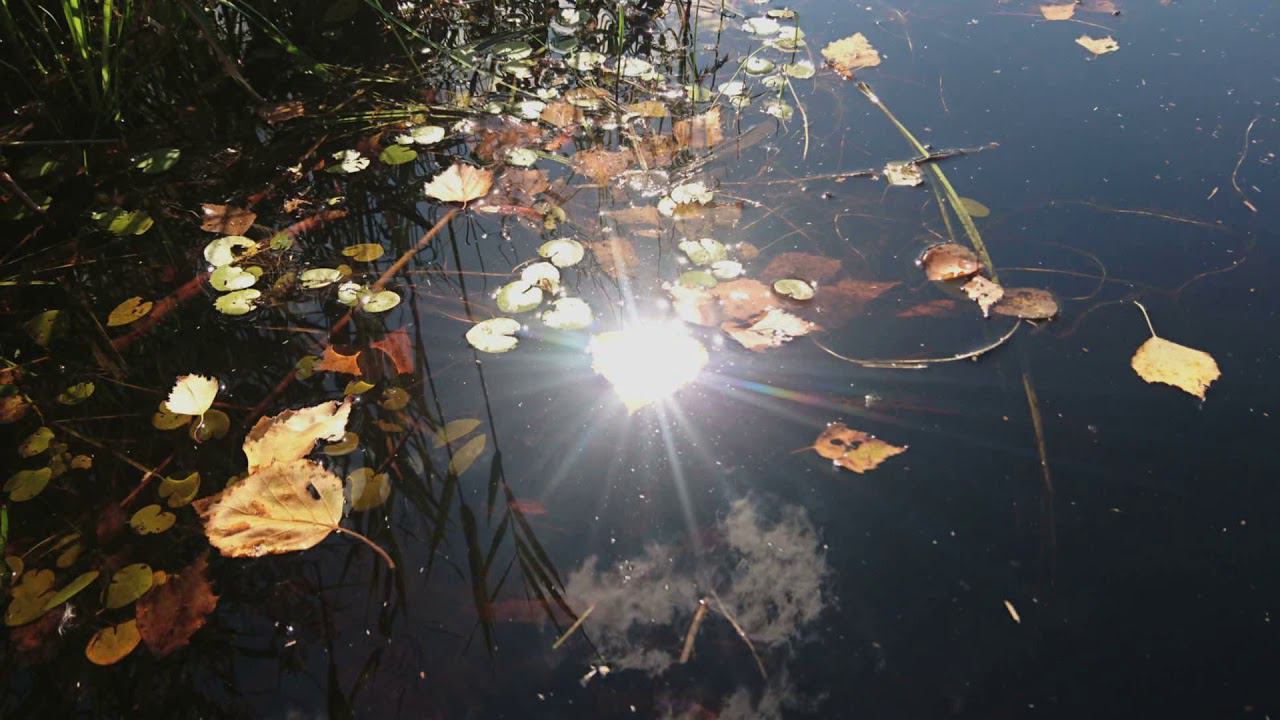Ольга Гранина - Август-сердце диско смотреть онлайн