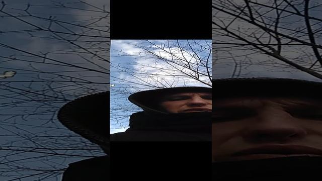 VID_20230305_162149.mp4