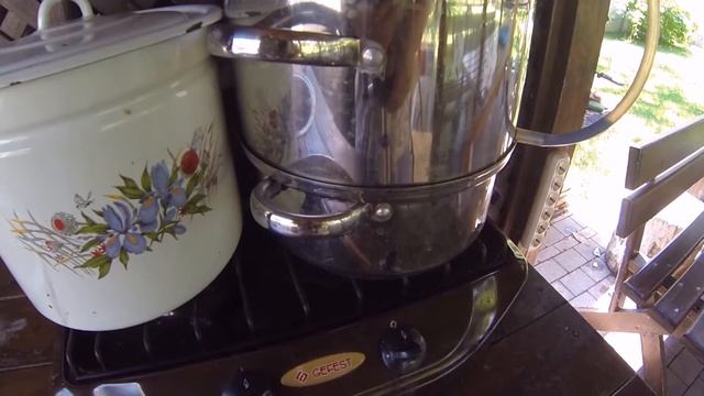 Делаем шелковичный сок смотреть онлайн