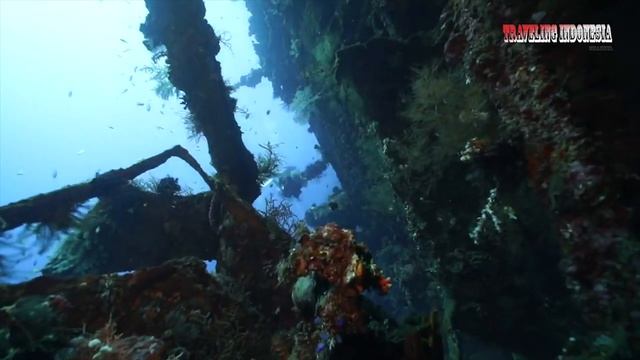 traveling indonesia bali island смотреть онлайн