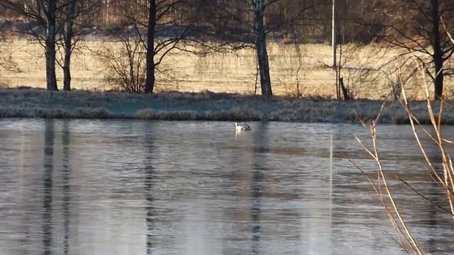 Чехия Рождественская рыбалка 2 смотреть онлайн