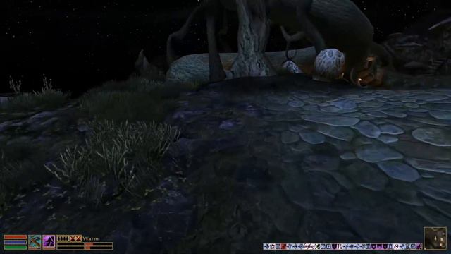 [149] A Mysterious Stronghold | The Elder Scrolls III: Morrowind смотреть онлайн