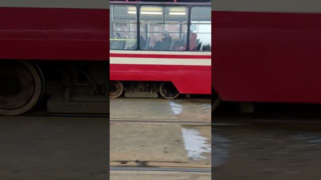 Трамвай ЛВС-86К №8211 на маршруте 52.Улица Доблести.СПБ смотреть онлайн