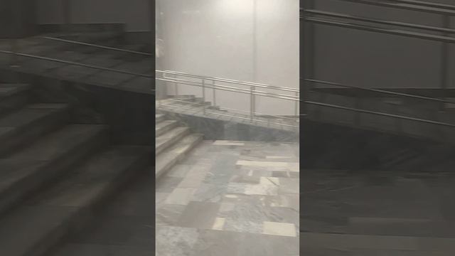 РГУ им. А.Н. Косыгина. День студента 2024. смотреть онлайн