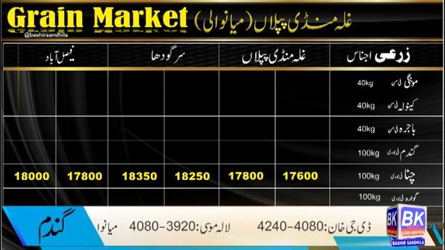 Chana 2023 | black chickpeas price for new stock | wheat up onceagain | Moong rate | Bashir Sandhil смотреть онлайн