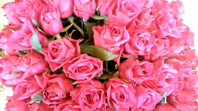 Красные розы | Доставка | Симферополь | Rose by Gentleman смотреть онлайн