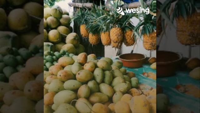 Video Này Từ WeSing