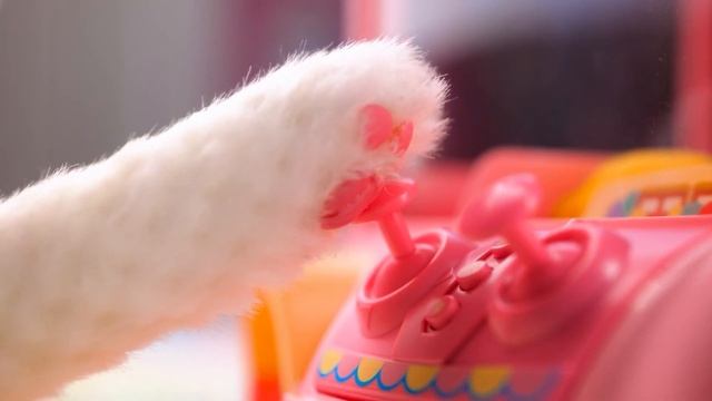 Must-Have Pets Parenting Hacks! How to Sneak a Cat! Wednesday Adopted a Cat* Rich Cat Makeover! смотреть онлайн