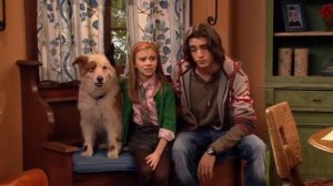 приколы собака точка ком