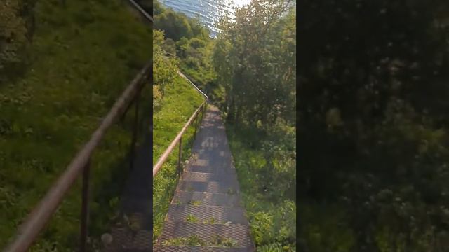 Филинская бухта #природа #тишина #море #птицы Калининградская область смотреть онлайн