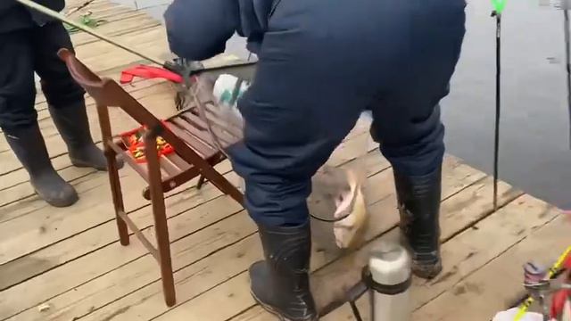 Прямое включение с водоема Симбухово смотреть онлайн