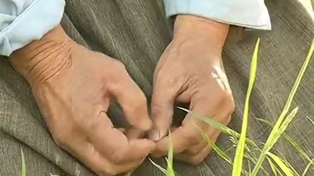 Великорецкое смотреть онлайн