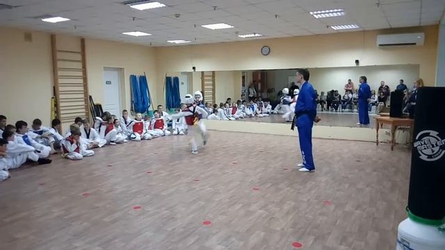 Тхеквондо. Клуб "Мангуст". смотреть онлайн