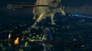 Dark Souls Сиф Великий Волк