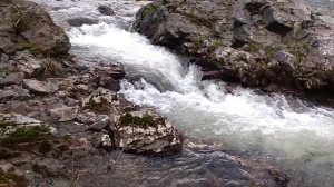 Самая крутая рыбалка в жизни!!! Саяны. Видео.