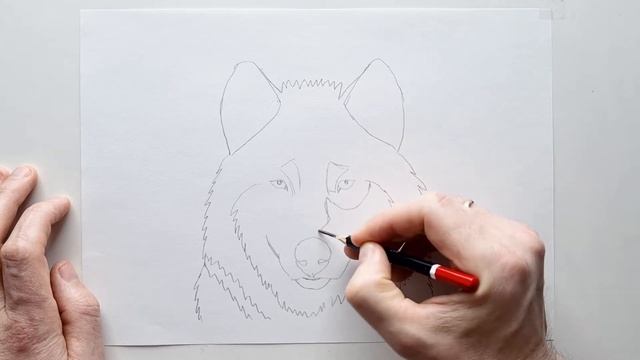 Drawing wolf's face in stages for Beginners: Pencil Drawing Tutorial for Kids - How to draw a wolf смотреть онлайн