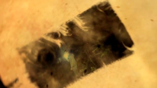 Буктрейлер. Книга Елены Фёдоровой " OLVIDO – ЗАВБЕНИЕ ". смотреть онлайн