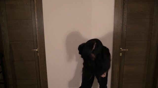 МАРАФОН ПО РЕЧИ. Блок Разминка. Упражнение "спринтер" смотреть онлайн