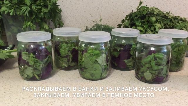 Как сохранить Базилик | Базиликовый уксус | Урожай 2021 смотреть онлайн