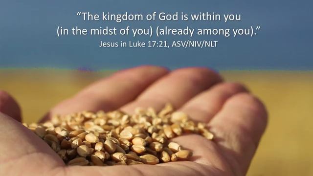 Parable of the Seed (Science of Germination) смотреть онлайн