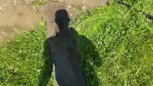 КОПАТЕЛЬСКИЙ ВЛОГ ЕВГЕНАЦАРЬКИ НЕ ДАЛИ ЗАБРАТЬ МЕТАЛЛ смотреть онлайн