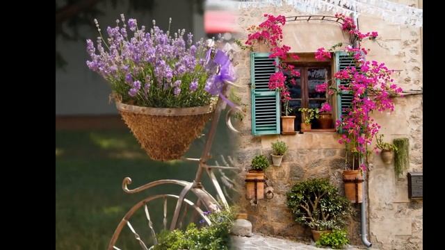 Provence смотреть онлайн