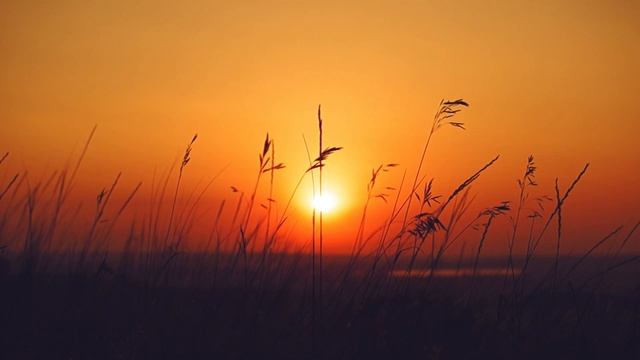 Спокойная Музыка Для Снятия Стресса - RELAXING PIANO - Music / Stress Relief Music смотреть онлайн