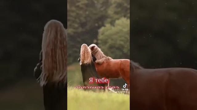 2 октября 2022 г. смотреть онлайн