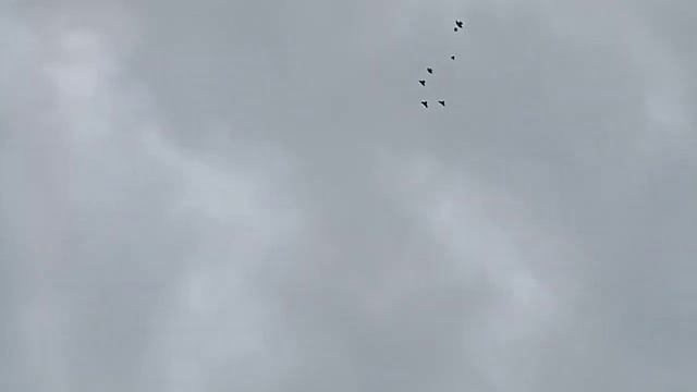 13 ноября 23г Волово Липецкой области. смотреть онлайн