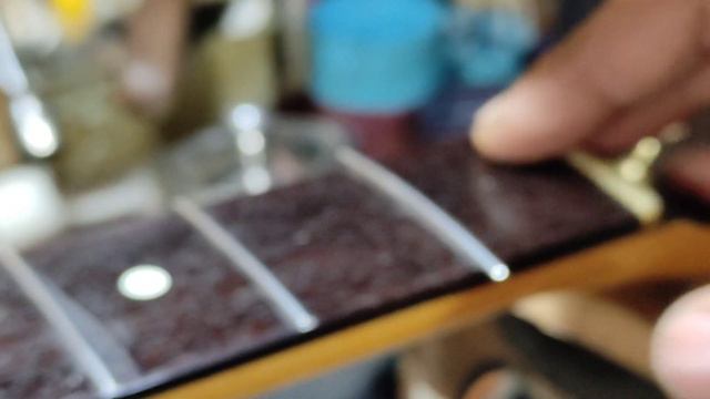 japan traditional midnight black fender telecaster refreshed #bassboifretworks 289 смотреть онлайн