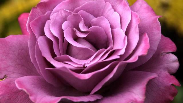 Горячая музыка и фото в хорошем качестве смотреть онлайн