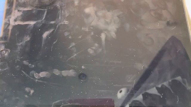 Windows 11 On MacBook Pro Mid 2014 Startup/Shutdown