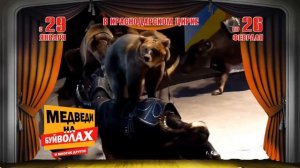 "Медведи на буйволах" в Краснодарском цирке
