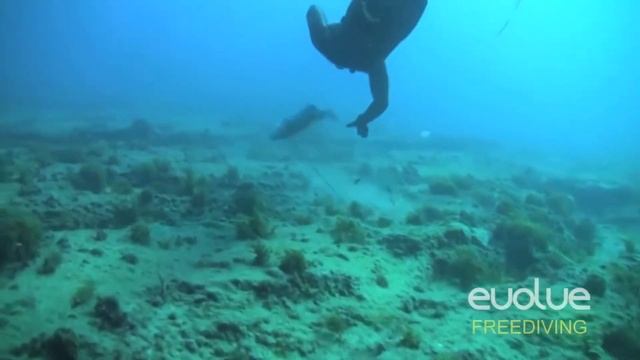 Blackout At Spearfishing. Блэкаут в подводной охоте