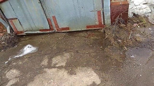 Три старлайна и томагавк - кто дальше? смотреть онлайн
