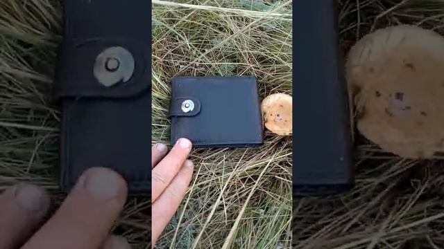 Крымские степные грибы! смотреть онлайн