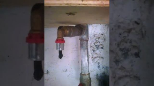 Под каким давлением подает город воду горожанам. Болонья, Италия смотреть онлайн