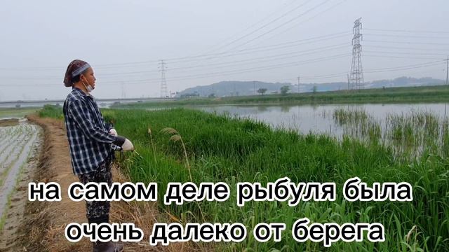 Рыбалка на рогатку. настрелял сазанов и крупных карасей смотреть онлайн