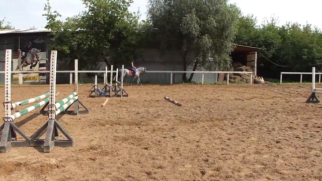 Тренировка 14.08.2017, г. Москва, КСК Амадей, Клавиша смотреть онлайн