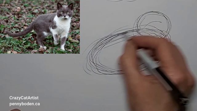 Gain Cat Drawing Skills FAST with fun gesture sketching, side view standing, front face laying down смотреть онлайн